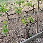 بيت للعطل Monte Papa Figos Malhao (Faro)
