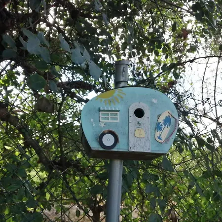 Monte Papa Figos Nyaraló Malhao (Faro)