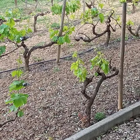 Σπίτι διακοπών Monte Papa Figos Malhao (Faro)