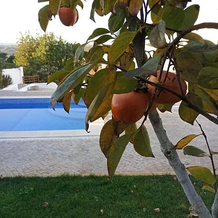 Monte Papa Figos * Malhao (Faro)