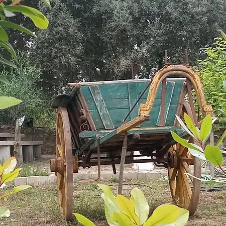 Monte Papa Figos * Malhao (Faro)